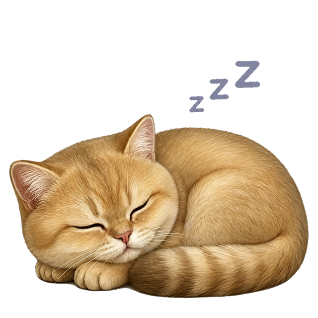 Dollar curled up, offline and resting